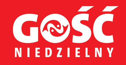 Gość